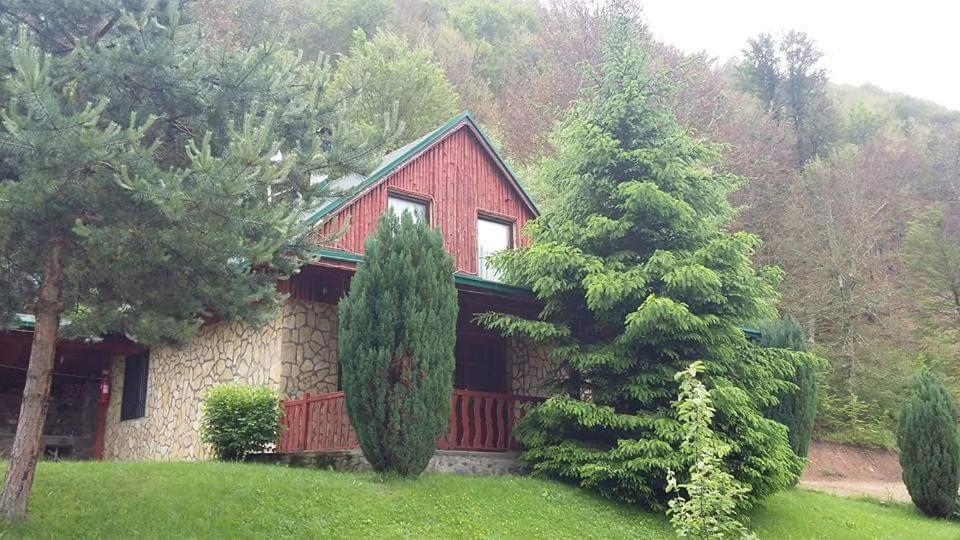 Turistichki Kompleks Bela Voda Hotel Dvoriste Екстериор снимка